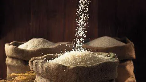 تعرف على أسعار الأرز اليوم الجمعة 16 يناير 2026 في مصر